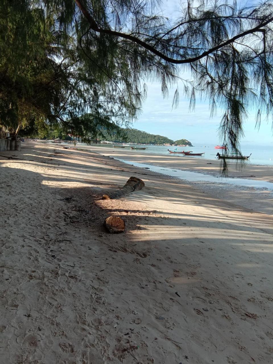 Prik Thai Resort Ко Тао Екстериор снимка